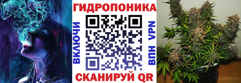 Купить закладки  Валдай  Конопля гибрид 